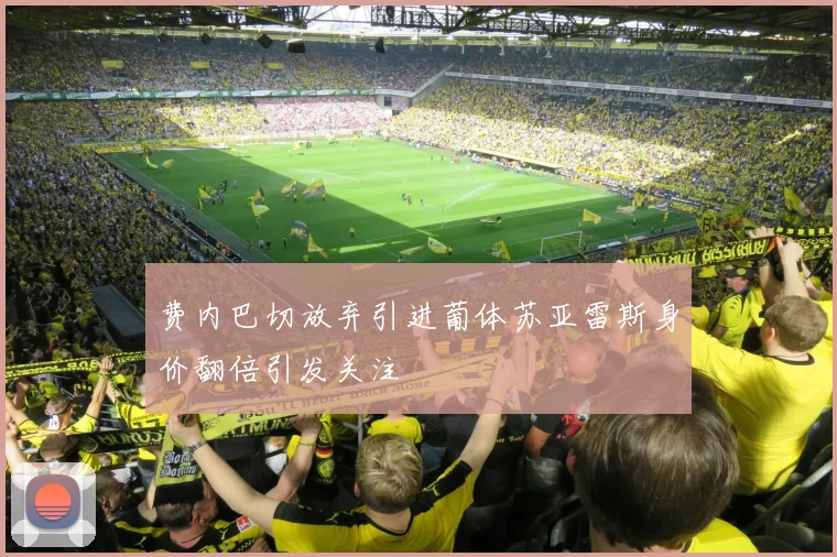 费内巴切放弃引进葡体苏亚雷斯身价翻倍引发关注