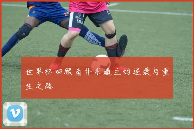 世界杯回顾南非东道主的逆袭与重生之路
