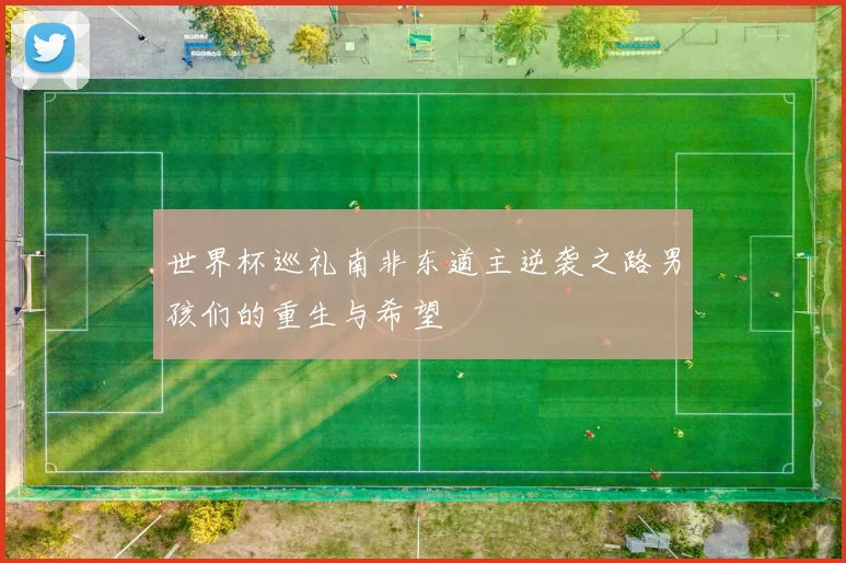 世界杯巡礼南非东道主逆袭之路男孩们的重生与希望